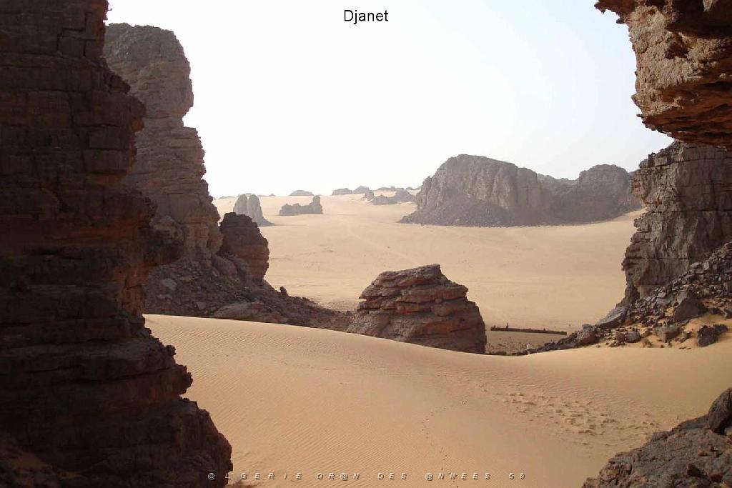 Algerie mars 2010_000025.jpg